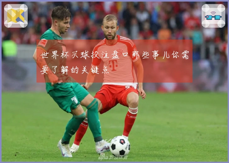 世界杯买球投注盘口那些事儿你需要了解的关键点