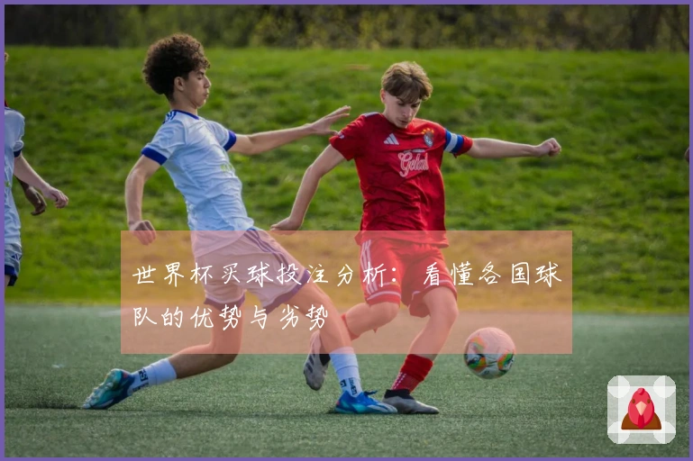 世界杯买球投注分析：看懂各国球队的优势与劣势