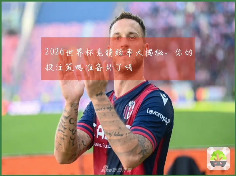 2026世界杯竞猜赔率大揭秘，你的投注策略准备好了吗