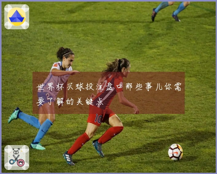 世界杯买球投注盘口那些事儿你需要了解的关键点