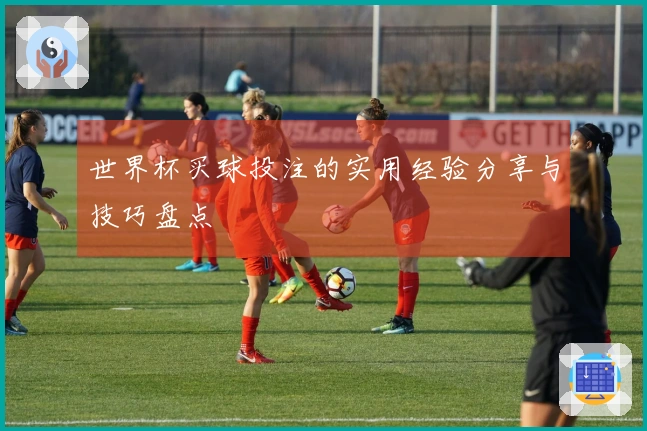 世界杯买球投注的实用经验分享与技巧盘点