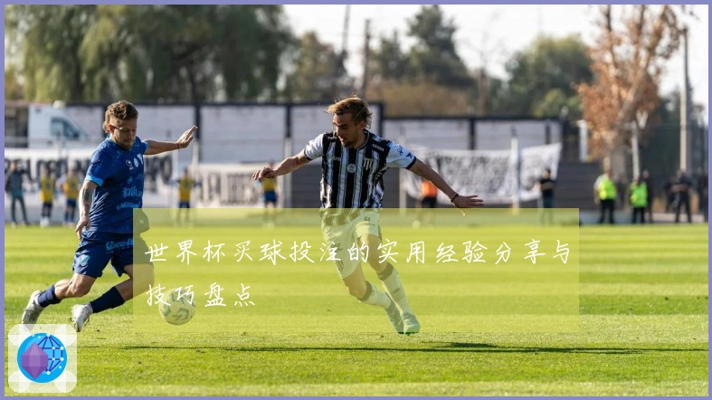 世界杯买球投注的实用经验分享与技巧盘点