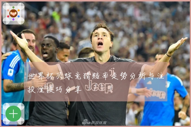 世界杯买球竞猜赔率走势分析与注投注技巧分享